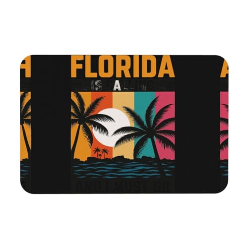 We'Re Going To Florida Printing Kieselgur Matte, Herbst-Weichbodenmatte, Duschkissen, rutschfeste Gummi-Rückseite, 39,9 x 60,9 cm von DIEzig