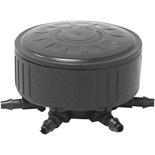 Dig A6 6 Outlet PC Tropfer auf 1/5,1 cm Innengewinde 6 GPH Pro Steckdose Dig A6 6 Outlet PC Tropfer auf 1/5,1 cm Innengewinde 6 GPH Pro Steckdose von DIG