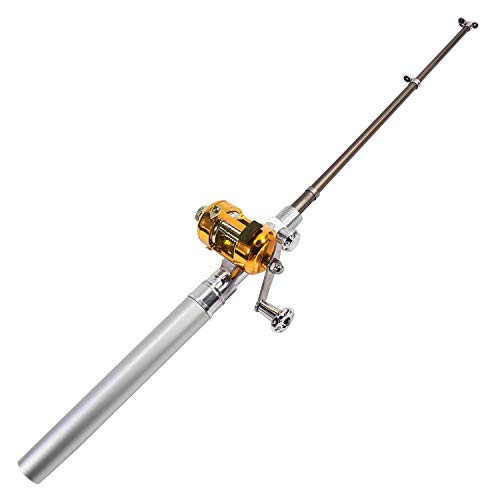 DIGIFLEX Mini Angel mit Goldener Angelrolle in einem silbernen Stift von DIGIFLEX