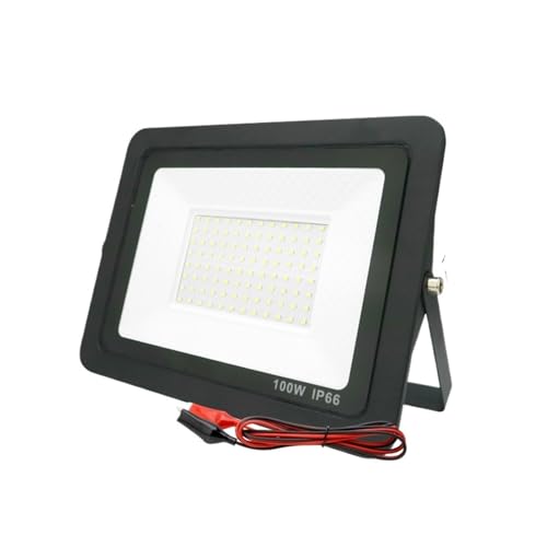 DIGNIFE Scheinwerfer, 20 W 30 W 50 W 100 W Led Flutlicht Outdoor Flutlicht Scheinwerfer IP66 Wasserdichte Licht Reflektor Tragbare Led-leuchten(5500-7000K_100W) von DIGNIFE