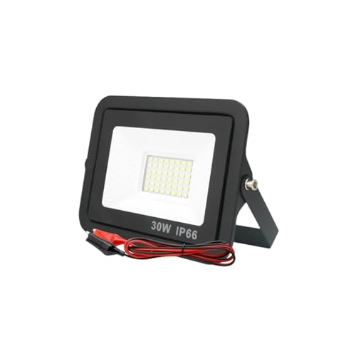 DIGNIFE Scheinwerfer, 20 W 30 W 50 W 100 W Led Flutlicht Outdoor Flutlicht Scheinwerfer IP66 Wasserdichte Licht Reflektor Tragbare Led-leuchten(5500-7000K_30W With Box) von DIGNIFE