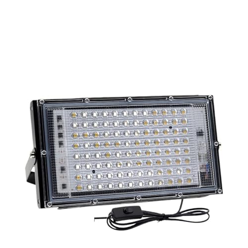 DIGNIFE Scheinwerfer, 50W 100W LED RGB Flutlicht IP65 Wasserdichter Außenreflektor LED-Scheinwerfer Landschaftsbeleuchtung Mit Fernbedienung(Warm Light_100W) von DIGNIFE
