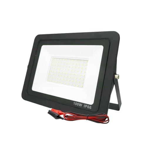 DIGNIFE Scheinwerfer, Led Flutlicht 20 W 30 W 50 W 100 W Outdoor Flutlicht Scheinwerfer IP66 Wasserdichte Licht Reflektor Tragbare Led-leuchten(5500-7000K_100W) von DIGNIFE