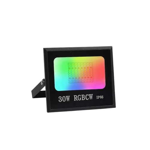 DIGNIFE Scheinwerfer, Tuya Smart Flutlicht LED Reflektor Außenbeleuchtung 30W 50W 100W RGB Dimmbar Warm Kalt Weiß Licht Unterstützung(No Remote Control_30W_BTOOTH) von DIGNIFE
