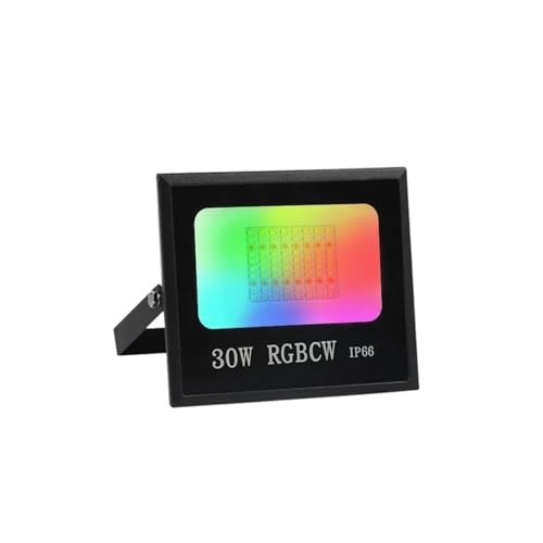 DIGNIFE Scheinwerfer, Tuya Smart Flutlicht LED Reflektor Außenbeleuchtung 30W 50W 100W RGB Dimmbar Warm Kalt Weiß Licht Unterstützung(No Remote Control_30W_BTOOTH) von DIGNIFE