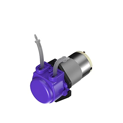 Druckerhöhungspumpe, Schlauchpumpe 12 V Mini-Wasserpumpe Stumm Selbstansaugende Pumpe Zirkulation Kleine Pumpe 24 V Kleine wassergekühlte Wasserabsaugpumpe(B2-12V) von DIGNIFE