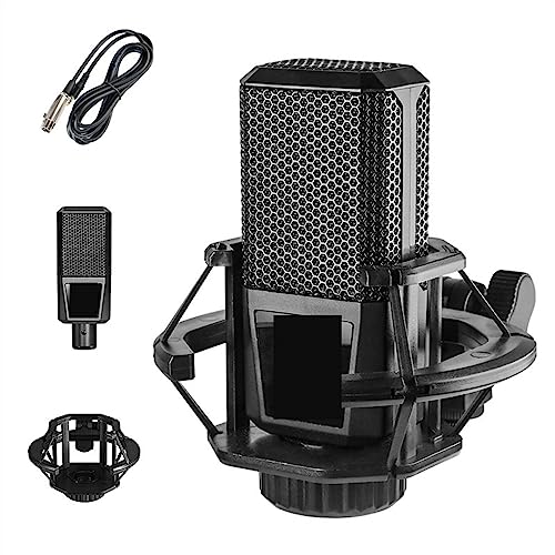 Soundkarten-Kit, 3,5-mm-Aufnahme-Kondensatormikrofon-Set, Studiomikrofon mit V8S-Live-Soundkarte for Karaoke-Streaming, Podcasting(Set A) von DIGNIFE