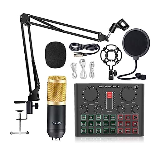 Soundkarten-Kit, BM800 Mikrofon Professionelle Kondensator Drahtlose MIC Soundkarte Mit Ring Füllen Licht Cantilever Halterung Live-Streaming(Gold BM800 D6 LED) von DIGNIFE