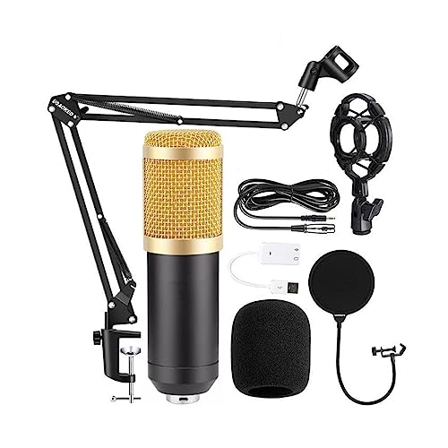 Soundkarten-Kit, BM800 Professionelle Mikrofon Kondensator Mic V8 V9 V10 Soundkarte PC Computer Audio USB Aufnahme Studio Spiel Live Broadcast KTV(Only BM800 Mic) von DIGNIFE