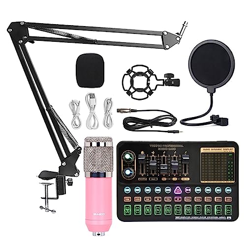 Soundkarten-Kit, BM800 V10XPro Mixer Soundkarte Studio Audio Mixer Singen Noise Reduction Mikrofon Stimme Live Broadcast Telefon Computer Rekord(V10XPro Set A2) von DIGNIFE