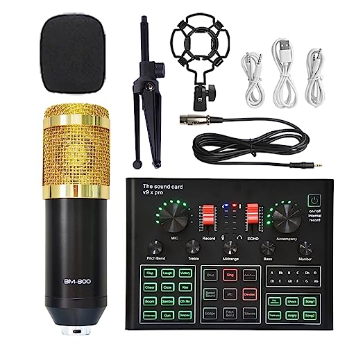 Soundkarten-Kit, Die Soundkarte kann an EIN Headset-Mikrofon eines Computertelefons angeschlossen Werden, um Live-Übertragungen und Gesang aufzunehmen(BM800 V9 SMALL) von DIGNIFE