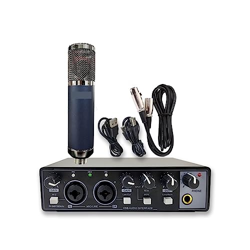 Soundkarten-Kit, Professional Audio 2 In 2 Out USB-Audioschnittstelle Aufnahme-Soundkarte mit großem Membran-Aufnahmemikrofon von DIGNIFE