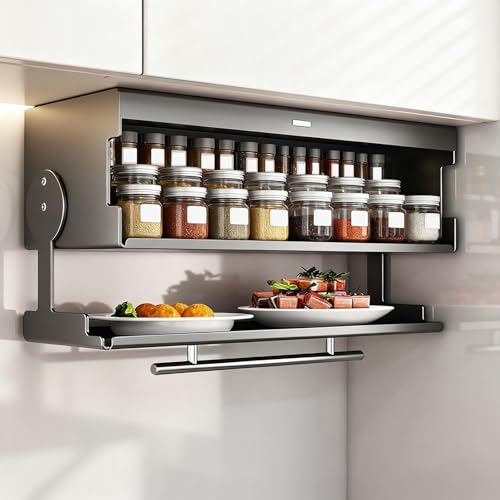 DIHRVTHC Küchenschrank-Wandregal mit Klapptür, Metall-Wandschrank Organizer zur Aufbewahrung von Gewürzen, Geschirr und Utensilien, passend für Küche, Esszimmer und Speisekammer(Nero,26cm) von DIHRVTHC