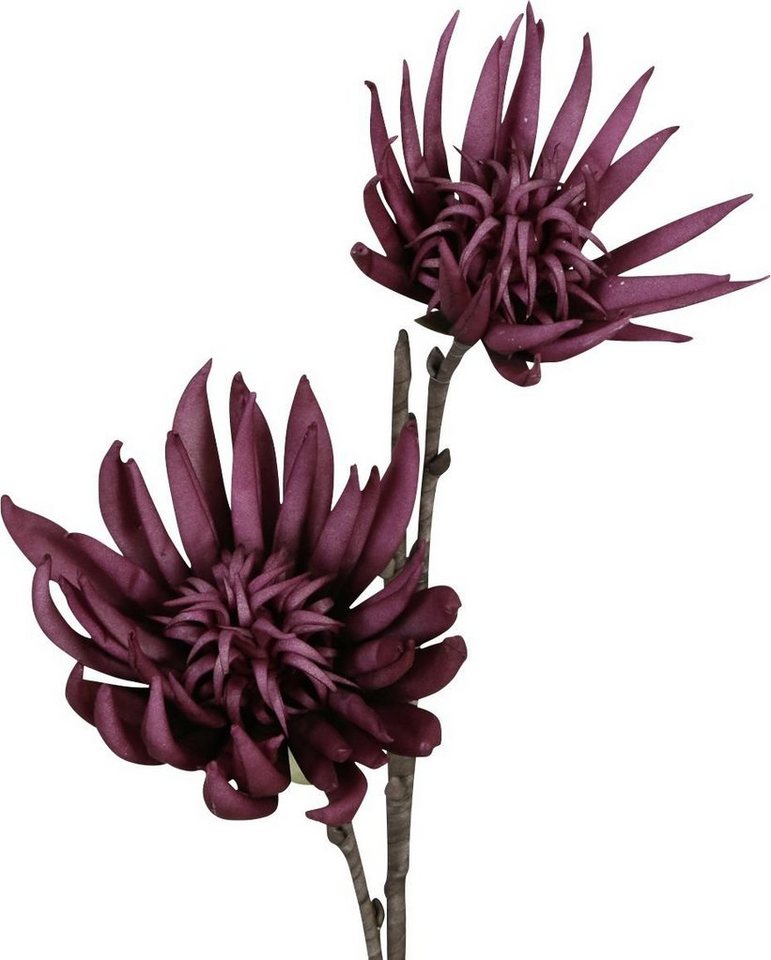 Kunstpflanze Dijk Kaktusblüte lila 80 cm, DIJK von DIJK