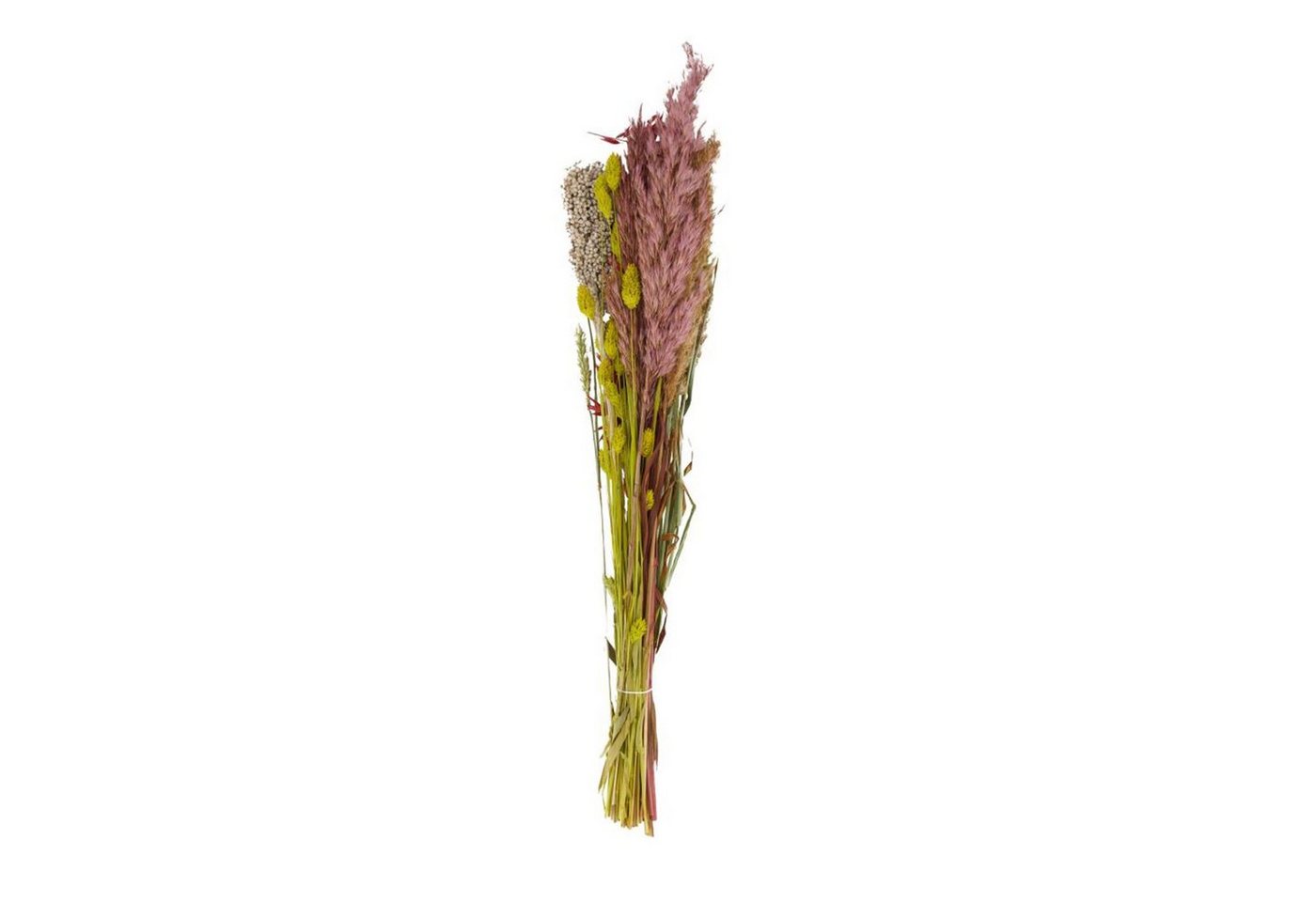 Trockenblume Getrockneter Blumenstrauß rosa/grün - dried flower bouquet, DIJK von DIJK