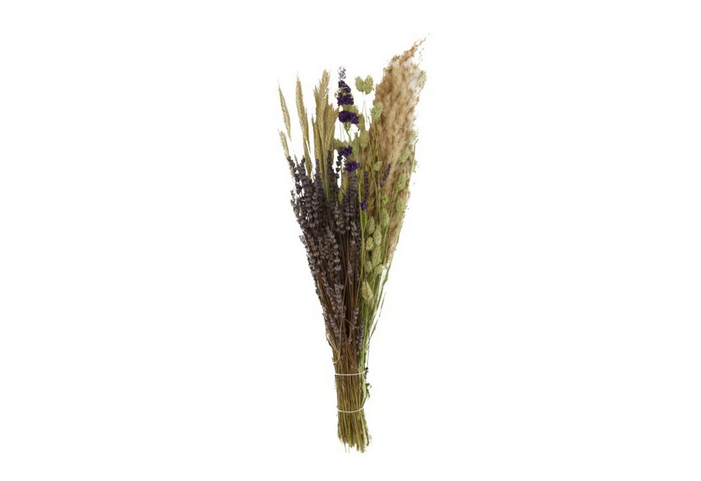 Trockenblume Getrockneter Blumenstrauß natur - dried flower bouquet - 79 cm, DIJK von DIJK