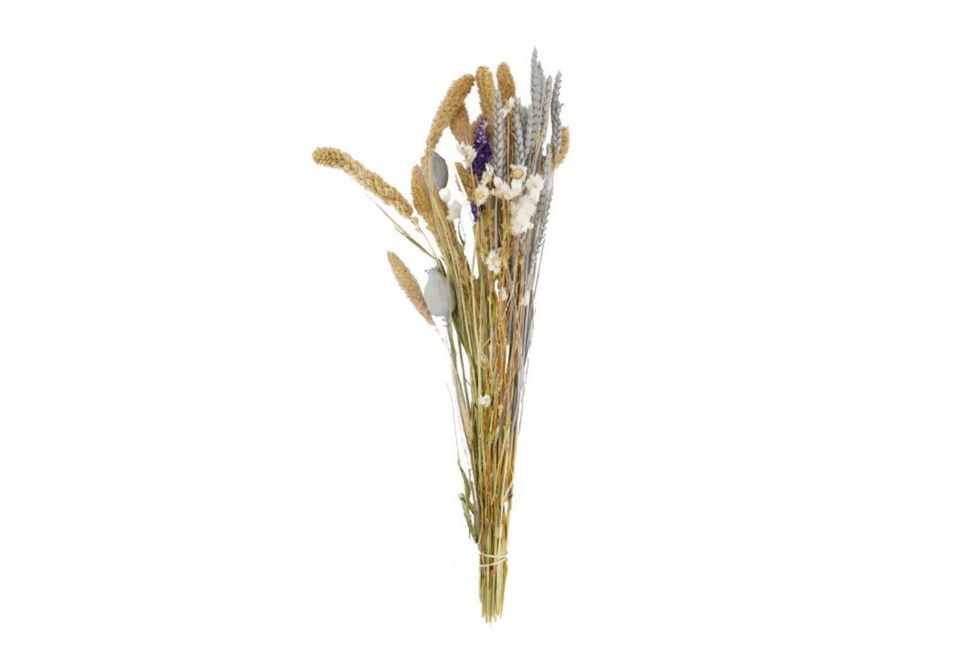 Trockenblume Getrockneter Blumenstrauß pastel - dried flower bouquet - 79 cm, DIJK von DIJK