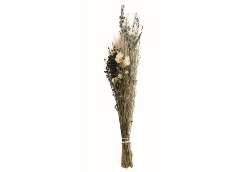 Trockenblume Getrockneter Blumenstrauß natur - dried flower bouquet - 78x15x12 cm, DIJK von DIJK