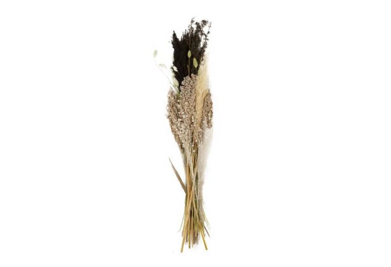 Trockenblume Getrockneter Blumenstrauß natur-dunkel - Dried flower bouquet - 93x23x8cm, DIJK von DIJK