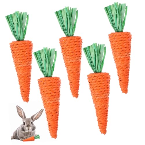 DIKACA 6 Stück Teiliges Handgefertigte Karotten kauspielzeuge aus Geflochtenem Naturmaterial Langlebig und Zahnpflegend für Hamster Kaninchen Meerschweinchen und Kleine Nager DIKACA 6 Stück Teiliges Handgefertigte Karotten kauspielzeuge aus Geflochtenem Naturmaterial Langlebig und Zahnpflegend für Hamster Kaninchen Meerschweinchen und Kleine Nager von DIKACA