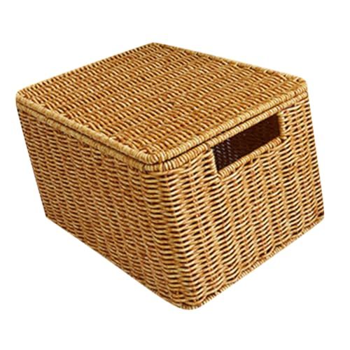 DIKACA Europäischer Aufbewahrungskorb mit Deckel Große Kapazität Robustes Geflochtenes Material Vielseitiger Wäschekorb für Schlafzimmer und Haushalt Stilvoller Ordnungshalter für von DIKACA