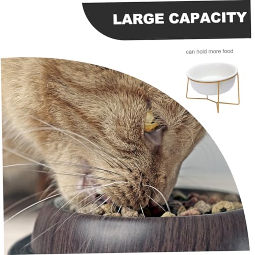 DIKACA Keramik Erhöhter mit Schrägem Design Rutschfester Standfuß Schützend für Katzen und Hunde Fördert Gesundes Fressen Nackenbelastung Langlebig und Leicht Tragbar DIKACA Keramik Erhöhter mit Schrägem Design Rutschfester Standfuß Schützend für Katzen und Hunde Fördert Gesundes Fressen Nackenbelastung Langlebig und Leicht Tragbar von DIKACA