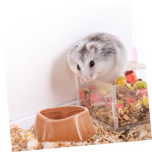 DIKACA Keramik Hamster Futternapf Schwere rutschfeste Futterschale mit Glatter Oberfläche Spülmaschinenfest Mittelgroß Geeignet für Hamster Meerschweinchen und Kleine Nagetiere im Käfig DIKACA Keramik Hamster Futternapf Schwere rutschfeste Futterschale mit Glatter Oberfläche Spülmaschinenfest Mittelgroß Geeignet für Hamster Meerschweinchen und Kleine Nagetiere im Käfig von DIKACA