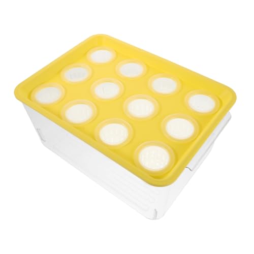 DIKACA Mini Aquaponik Fischbecken mit Deckel Platzsparendes Hydroponik System für Betta Fische und Pflanzen Kleines Fischglas für Innenräume Modernes Desktop Aquarium für Zimmerdekoration DIKACA Mini Aquaponik Fischbecken mit Deckel Platzsparendes Hydroponik System für Betta Fische und Pflanzen Kleines Fischglas für Innenräume Modernes Desktop Aquarium für Zimmerdekoration von DIKACA