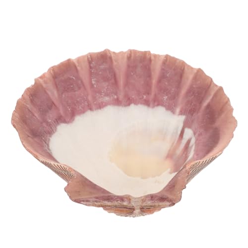 DIKACA Muschel Schmucktablett Muscheln Muschelteller Tabletthalter Display Conch Tablett LED Badezimmer Kosmetiktablett Schmuck Organizer Halsketten Organizer Schale von DIKACA