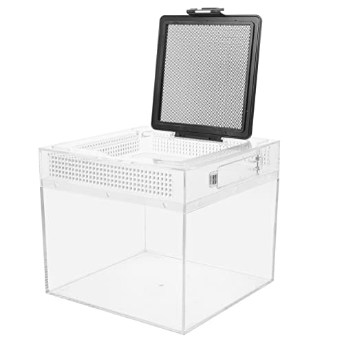 DIKACA Transparente Reptilien Futterbox mit Belüftung Langlebiges Futtergehege für Eidechsen Spinnen und Kleine Haustiere Wetterbeständiger Terrarienbehälter Kompakt und Einfach zu DIKACA Transparente Reptilien Futterbox mit Belüftung Langlebiges Futtergehege für Eidechsen Spinnen und Kleine Haustiere Wetterbeständiger Terrarienbehälter Kompakt und Einfach zu von DIKACA