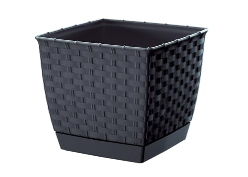 DIKEL Blumentopf 14 x 12 cm | Übertopf aus Kunststoff in Rattan-Optik | Blumentöpfe mit Untertasse | Pflanzentopf für den Innen- und Außenbereich | Blumentopf witterungsbeständig | Anthrazit DIKEL Blumentopf 14 x 12 cm | Übertopf aus Kunststoff in Rattan-Optik | Blumentöpfe mit Untertasse | Pflanzentopf für den Innen- und Außenbereich | Blumentopf witterungsbeständig | Anthrazit von DIKEL