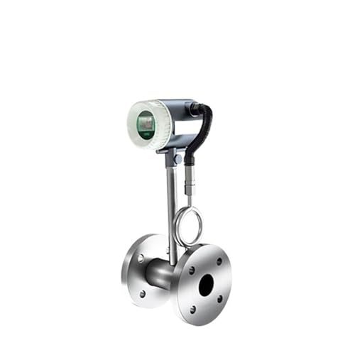 OPFVUJIKX Gaszähler for intelligente Dampfdurchflussmesser, Transmitter Erdgas Stickstoff Sauerstoff Druckluft Flüssigkeit Abwasser Öl(DN20 LCD,RS485 Output) von DIKKAC
