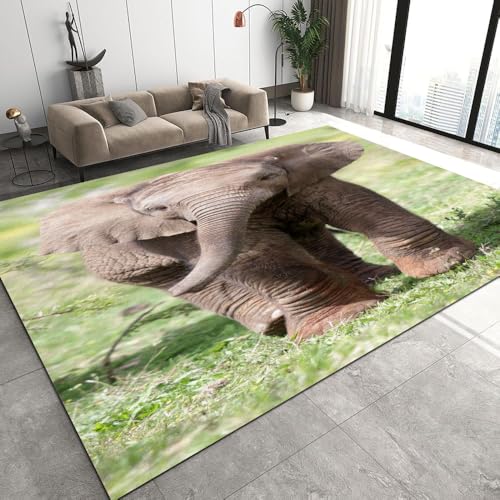 DILANI Elefant Kurzflor Teppich Matten rutschfeste FußMatte Kinderteppich Modern 3D Afrika Tiere Kinder Spielteppiche FüR Schlafzimmer Flur Wohnzimmer Boden Teppich 100x150 cm DILANI Elefant Kurzflor Teppich Matten rutschfeste FußMatte Kinderteppich Modern 3D Afrika Tiere Kinder Spielteppiche FüR Schlafzimmer Flur Wohnzimmer Boden Teppich 100x150 cm von DILANI