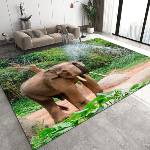 DILANI Elefant Kurzflor Teppich Matten rutschfeste FußMatte Kinderteppich Modern 3D Afrika Tiere Kinder Spielteppiche FüR Schlafzimmer Flur Wohnzimmer Boden Teppich 60x90 cm DILANI Elefant Kurzflor Teppich Matten rutschfeste FußMatte Kinderteppich Modern 3D Afrika Tiere Kinder Spielteppiche FüR Schlafzimmer Flur Wohnzimmer Boden Teppich 60x90 cm von DILANI