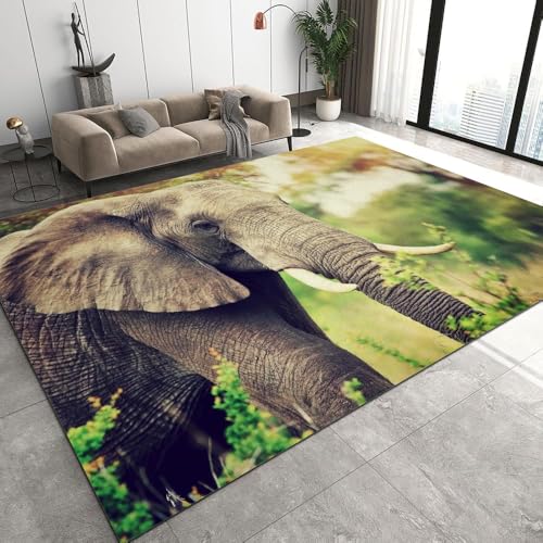 DILANI Elefant Kurzflor Teppich Matten rutschfeste FußMatte Kinderteppich Modern 3D Afrika Tiere Kinder Spielteppiche FüR Schlafzimmer Flur Wohnzimmer Boden Teppich 60x90 cm DILANI Elefant Kurzflor Teppich Matten rutschfeste FußMatte Kinderteppich Modern 3D Afrika Tiere Kinder Spielteppiche FüR Schlafzimmer Flur Wohnzimmer Boden Teppich 60x90 cm von DILANI