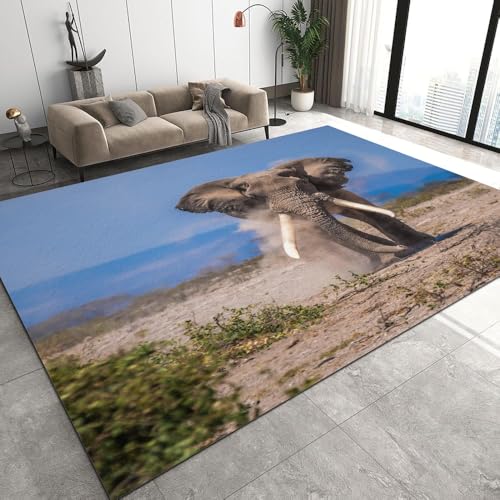 DILANI Elefant Kurzflor Teppich Matten rutschfeste FußMatte Kinderteppich Modern 3D Tier Kinder Spielteppiche FüR Schlafzimmer Flur Wohnzimmer Boden Teppich 160x230 cm DILANI Elefant Kurzflor Teppich Matten rutschfeste FußMatte Kinderteppich Modern 3D Tier Kinder Spielteppiche FüR Schlafzimmer Flur Wohnzimmer Boden Teppich 160x230 cm von DILANI