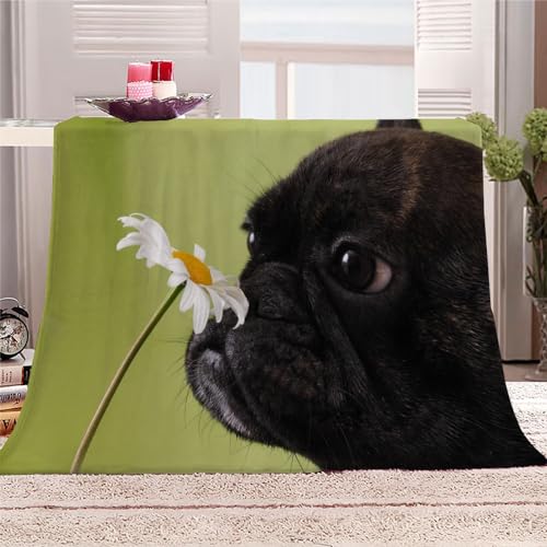 DILANI Kuscheldecken Flauschig 130x150 Hund Weich Wohndecke Kuscheldecke Flauschig Schlafdecke Sofadecke Plüschdecke Pelzdecke Printdesign Couchdecke Französische Bulldogge 3D Drucken Microfaser von DILANI