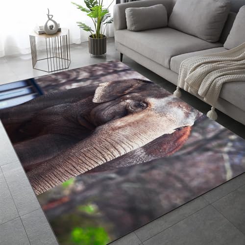 Elefant Teppich Schlafzimmer rutschfeste FußMatte Afrikanische Tiere Kinderteppich Dekoration Carpets Teenager Kurzflor Flanell Teppiche Home Spielteppiche für Wohnzimmer 80x120 cm von DILANI