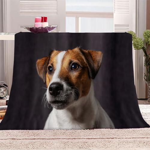 Jack Russell Terrier 3D Drucken Microfaser Kuscheldecke Flauschig Flanell Decke 150x200 Hund Tier Kinder Mädchen Jungen Weich Warm Wohndecke Tagesdecke für Sofa Couch und Bett TV-Decke von DILANI