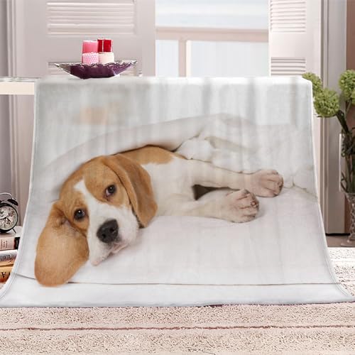 Kuscheldecke 100x130 Beagle Warm Winter Flauschige Flanelldecke,Weich Bequem Wohndecke,Sofadecke Hund Tier 3D-Digitaldruck Kuscheldecke Für Kinder Erwachsene Geschenk von DILANI