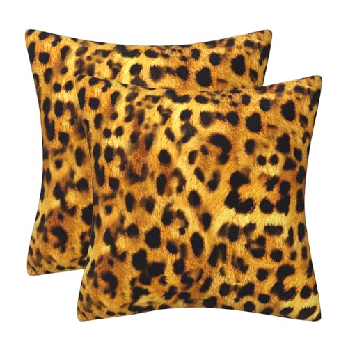 DILOXNSU 2er Set Kissenbezug 40 x 40 cm Leopard Zierkissen Weichen Samt Dekokissen Kissenhülle Quadrat Kissenbezüge für Sofa Bett Couch Deko Kissen Garten Wohnzimmer Sofakissen von DILOXNSU
