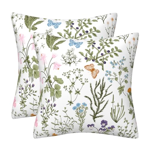 DILOXNSU 2er Set Kissenbezug 50 x 50 cm Salbei Grün Floral Zierkissen Weichen Samt Dekokissen Kissenhülle Quadrat Kissenbezüge für Sofa Bett Couch Deko Kissen Garten Wohnzimmer Sofakissen DILOXNSU 2er Set Kissenbezug 50 x 50 cm Salbei Grün Floral Zierkissen Weichen Samt Dekokissen Kissenhülle Quadrat Kissenbezüge für Sofa Bett Couch Deko Kissen Garten Wohnzimmer Sofakissen von DILOXNSU