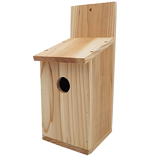 DILUMA Nistkasten Basic 30 x 12 x 12 cm aus Kiefernholz Vogelhäuschen für kleine Vögel Nisthaus Vogelnistkasten naturbelassen, stabil und witterungsbeständig von DILUMA