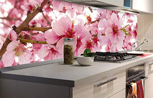Dimex Küchenrückwand Folie selbstklebend APFELBLÜTE | Klebefolie - Dekofolie - Spritzschutz für Küche | Made in EU - 180 cm x 60 cm Dimex Küchenrückwand Folie selbstklebend APFELBLÜTE | Klebefolie - Dekofolie - Spritzschutz für Küche | Made in EU - 180 cm x 60 cm von Dimex