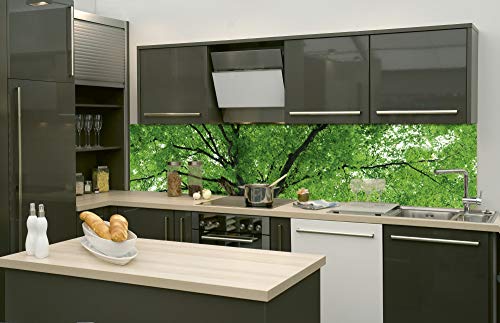 Dimex Küchenrückwand Folie selbstklebend BAUMKRONE | Klebefolie - Dekofolie - Spritzschutz für Küche | Made in EU - 260 cm x 60 cm von Dimex