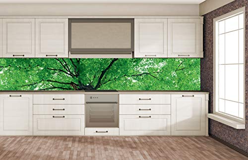 Dimex Küchenrückwand Folie selbstklebend BAUMKRONE | Klebefolie - Dekofolie - Spritzschutz für Küche | Made in EU - 350 cm x 60 cm von Dimex