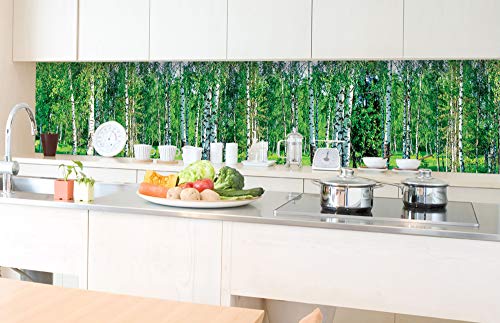 DIMEX Küchenrückwand Folie selbstklebend BIRKENHAIN | Klebefolie - Dekofolie - Spritzschutz für Küche | Made in EU - 350 cm x 60 cm von DIMEX