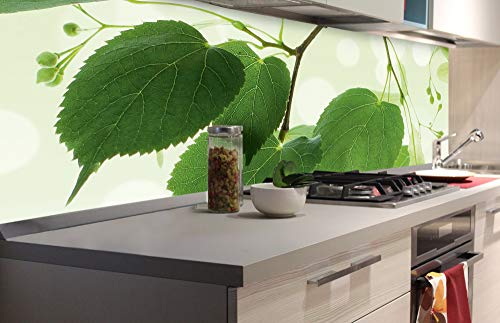 DIMEX Küchenrückwand Folie selbstklebend GRÜNE BLÄTTER | Klebefolie - Dekofolie - Spritzschutz für Küche | Made in EU - 180 cm x 60 cm von DIMEX