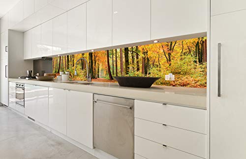 Dimex Küchenrückwand Folie selbstklebend HERBSTWALD | Klebefolie - Dekofolie - Spritzschutz für Küche | Made in EU - 350 cm x 60 cm von Dimex