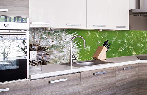 DIMEX Küchenrückwand Folie selbstklebend LÖWENZAHN | Klebefolie - Dekofolie - Spritzschutz für Küche | Made in EU - 260 cm x 60 cm von DIMEX